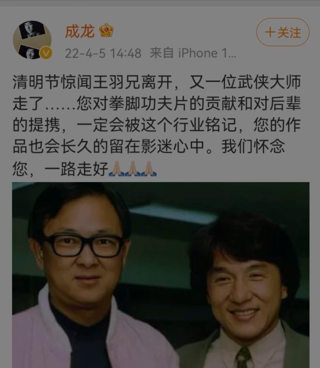 王羽电影，励志成长史诗，展现自信与成就感的辉煌之旅