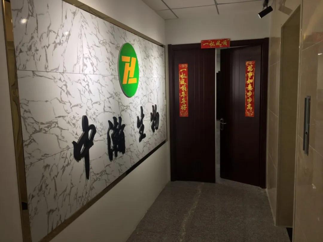 掌握医药企业动态，最新动态与全步骤指南