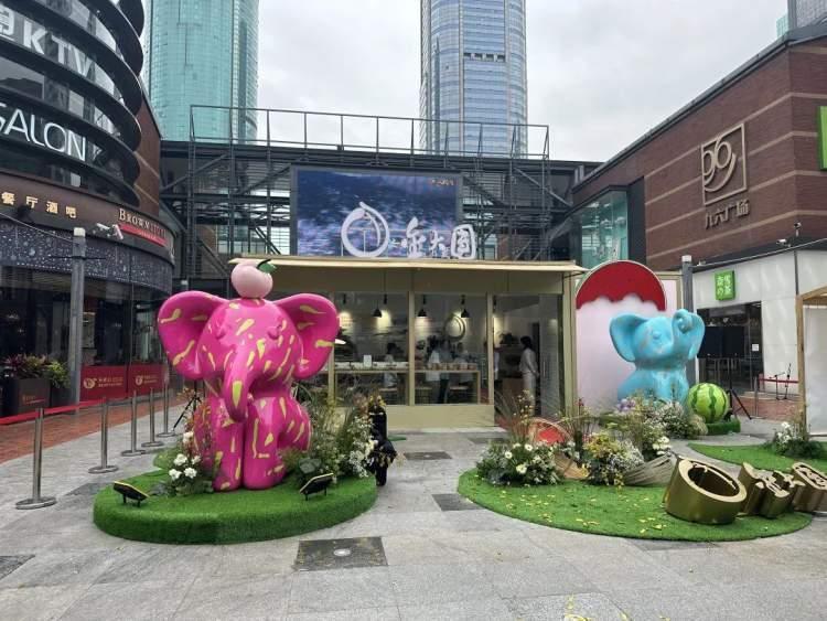 大团镇最新发展蓝图揭秘，未来规划展望