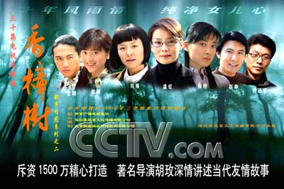 电视剧香樟树演员表