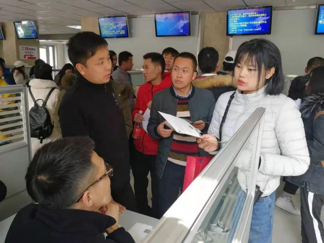安国最新招聘信息，时代的脉搏与人才的交汇舞台
