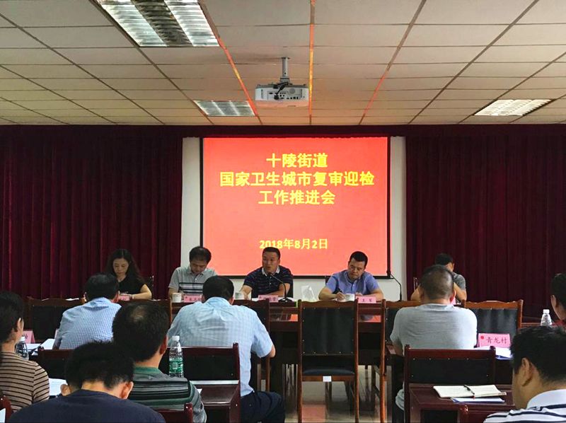 十陵最新资讯与相关观点深度解析