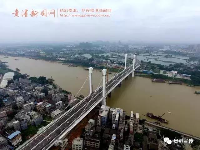 贵港最新新闻报道汇总