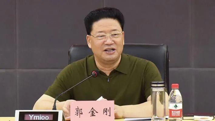 郭金刚最新动态揭秘，领袖步伐与时代变迁的见证