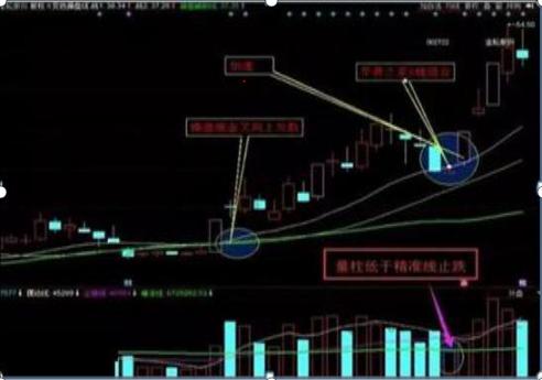 金轮股份最新动态解析，获取消息与解读任务指南