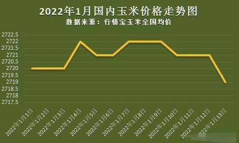玉米价格最新行情预测，与自然美景同行，探寻内心平和与喜悦之旅