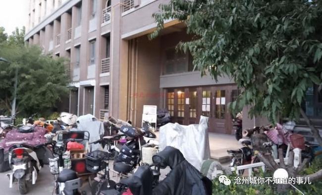 沧州公租房最新动态，申请指南及最新消息速递