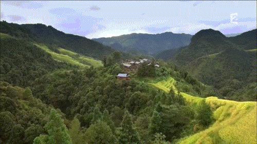 贵州高速公路最新动态，温情故事在路上升温