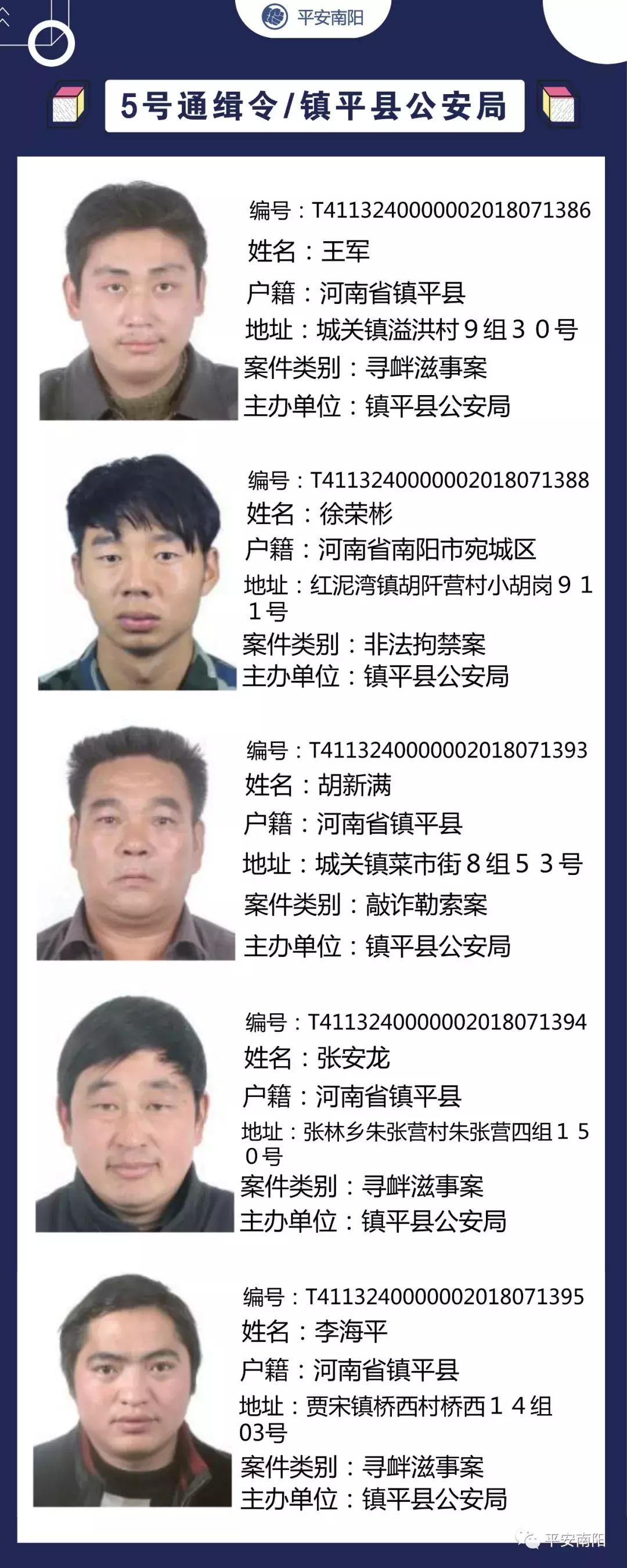 最新通辑令详解，掌握要点，洞悉动态变化