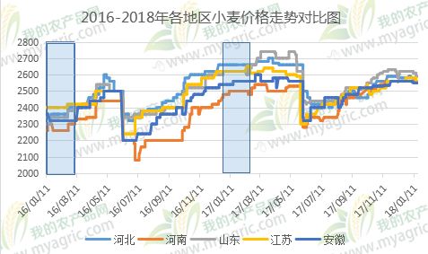 小麦价格最新行情预测，变化中的机遇与挑战，自信成就未来
