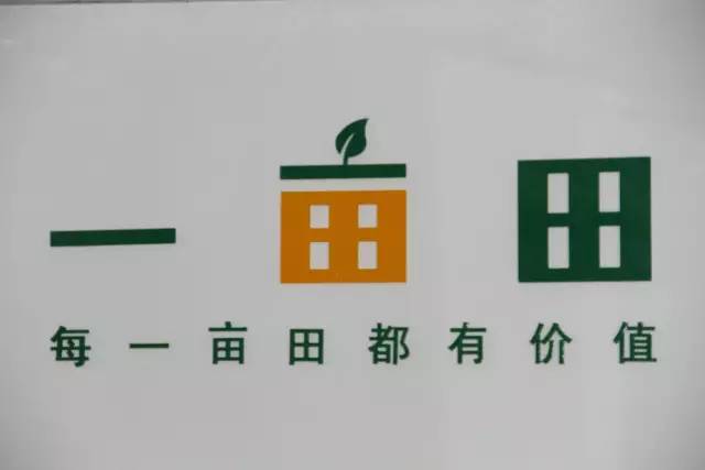 一亩田最新报价，科技重塑农业，智能引领新生活