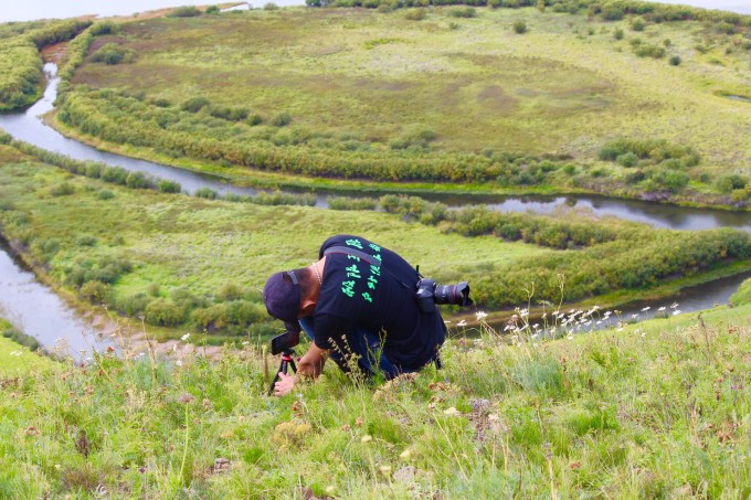 草6最新地址揭秘与观点阐述