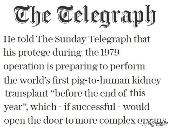 人造肾脏最新进展,小巷中的生命科技小店揭秘