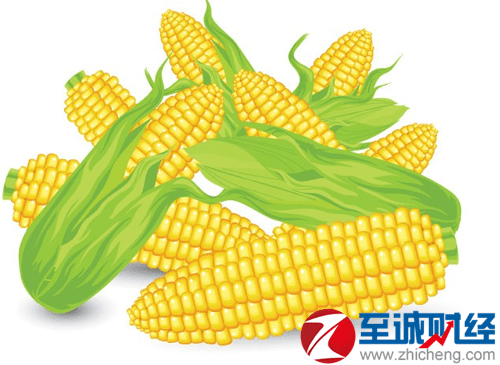 全国玉米价格最新行情动态更新🌽📊