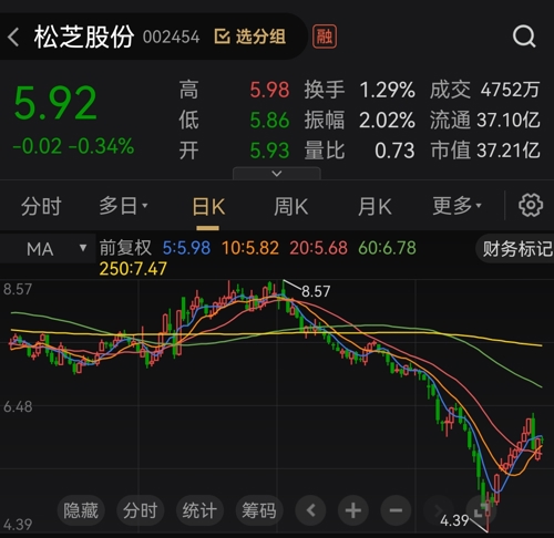 松芝股份最新动态与消息速递📢📊