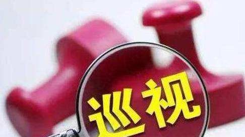 山东省巡视组最新联系方式，如何正确反映问题与巡视组的紧密联系