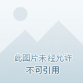 QQ农场最新版本下载探讨与观点分析