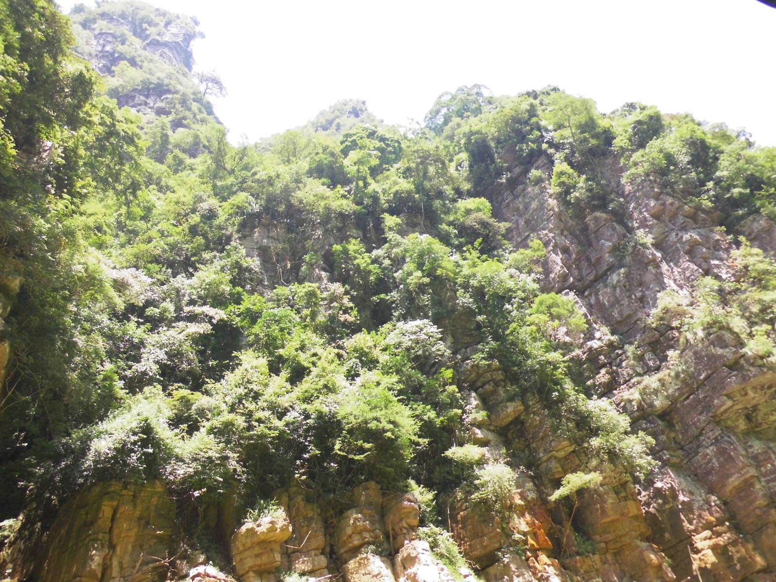 圣堂最新揭秘，带你走进神秘世界的探索之旅