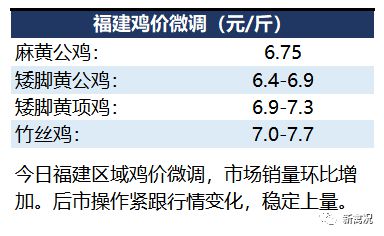 鸡价网最新动态，一场寻找内心平静的旅程