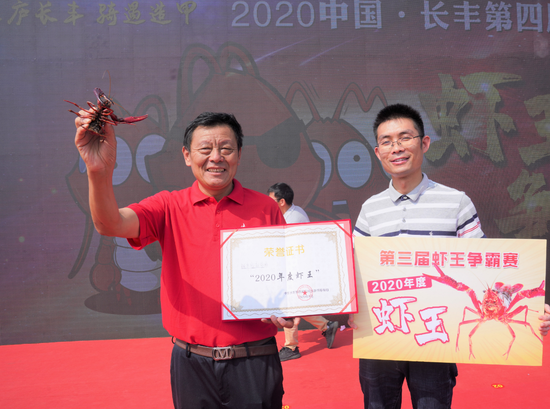 最新长丰新闻直播，自然美景探索之旅，追寻内心的平和与喜悦