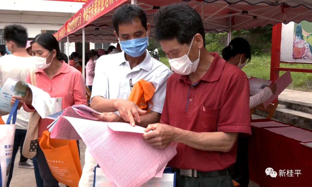 桂平最新招聘探索小巷机遇，职位等你来挑战！