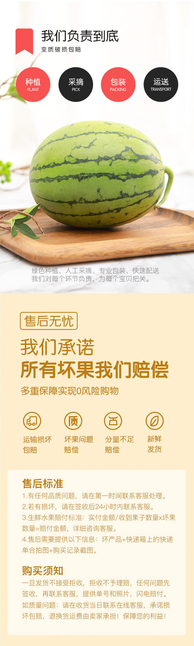 东台西瓜最新价格，品质与市场的完美交融