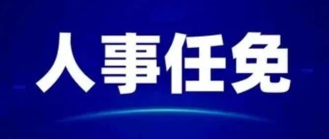 肥城最新人事任免及其背后的故事揭秘