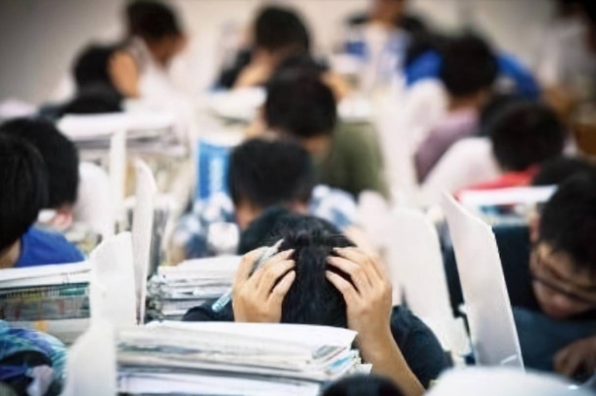 高考最新变化解析与小巷深处的特色小店探秘