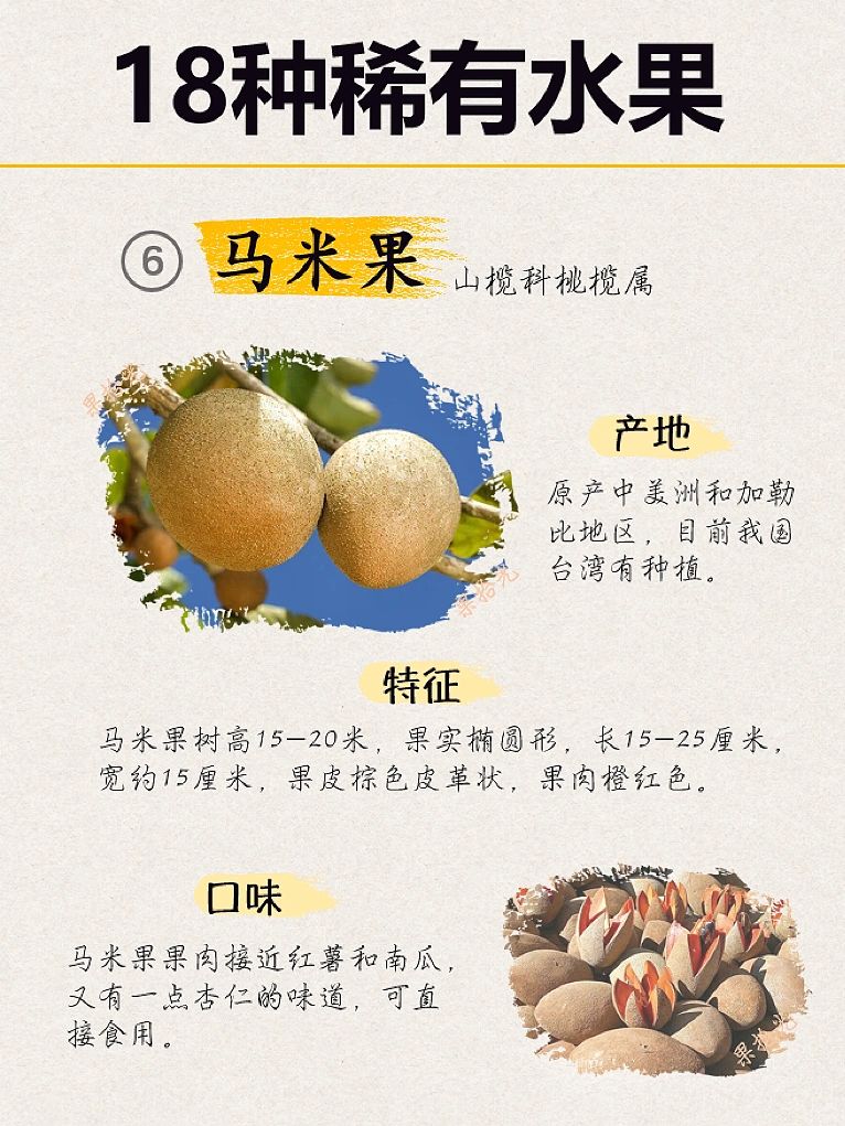 珍稀水果最新品种的解析与观点阐述