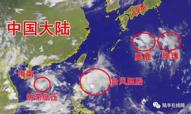 台风洛克最新预报更新及动态分析