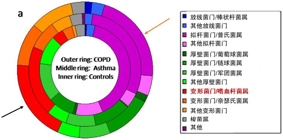 支扩最新研究，科技重塑生活，体验前所未有的高科技产品突破