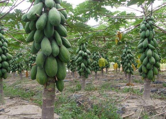 小巷深处的神秘小店，最新乳汁故事探索之旅
