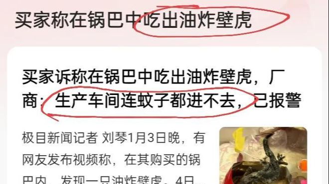网友最新视频2025，日常趣事与真挚友情的分享时刻