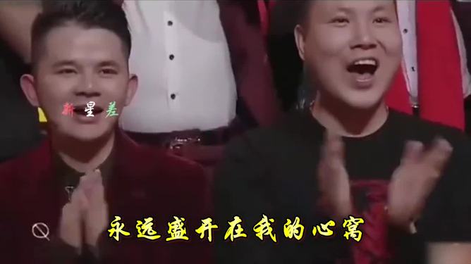 音乐的未来之声，探索2025最新好听歌曲