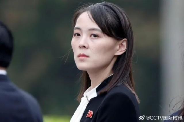 日常小趣事与友情的温暖纽带，最新84vd分享