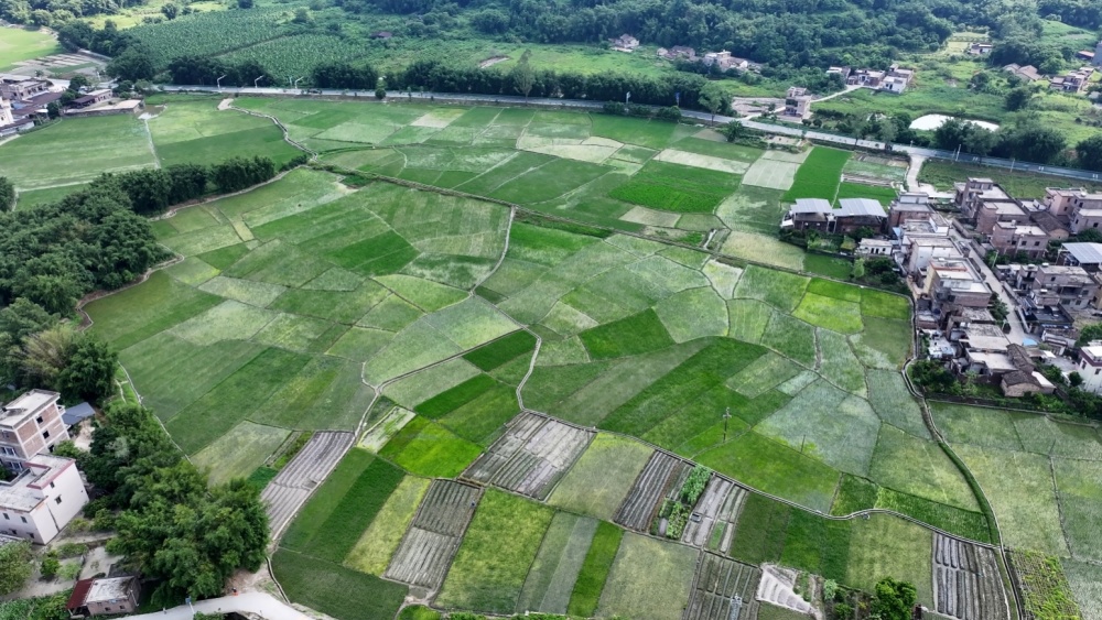 清远最新土地拍卖，多方观点深度剖析报告