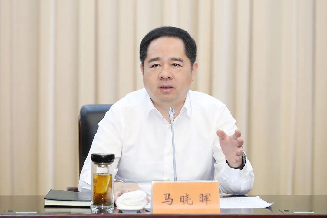 探索党员最新基本标准与小巷特色小店的独特魅力