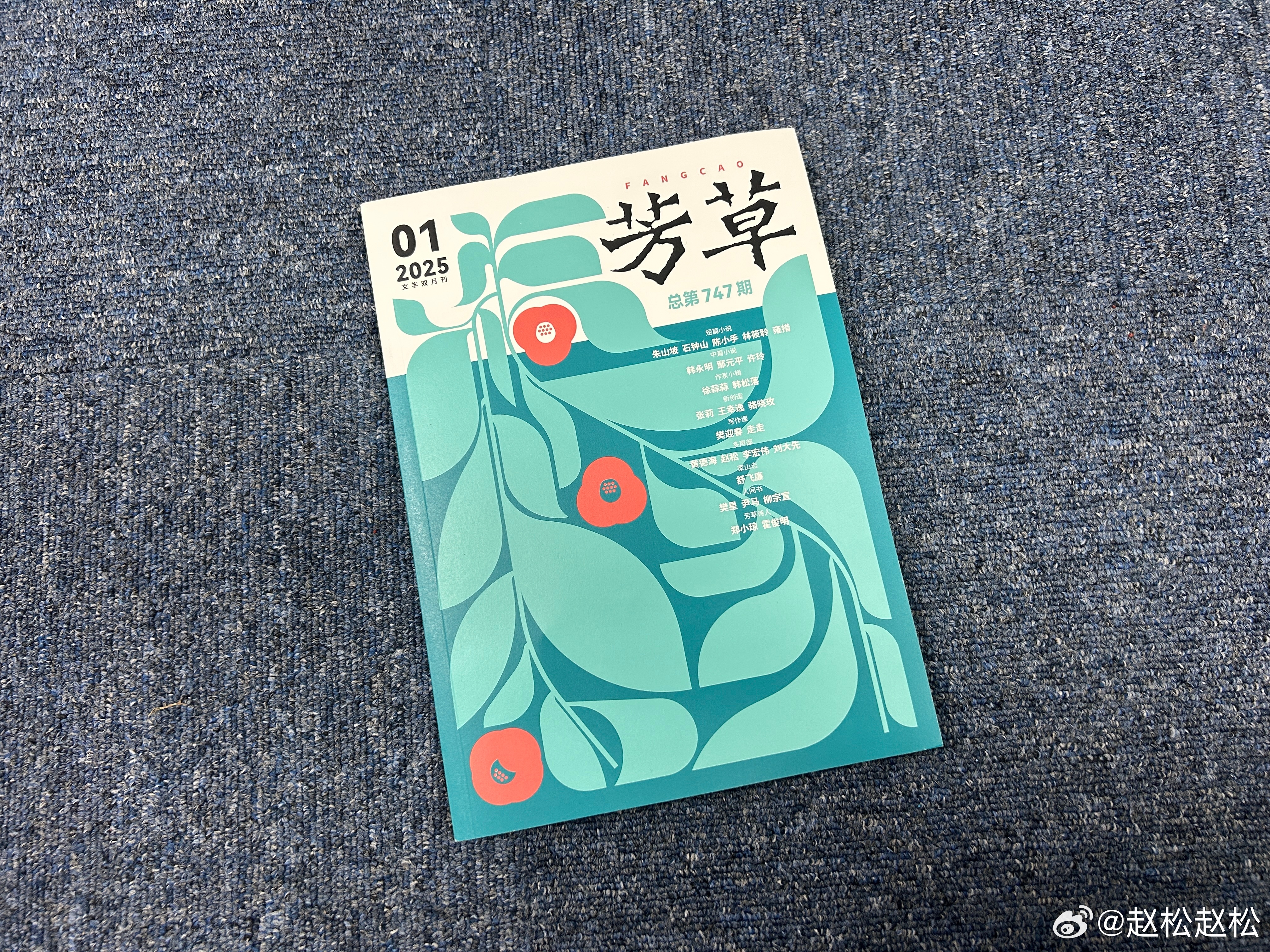 友情草地上的温馨日常，草遛2025最新动态分享