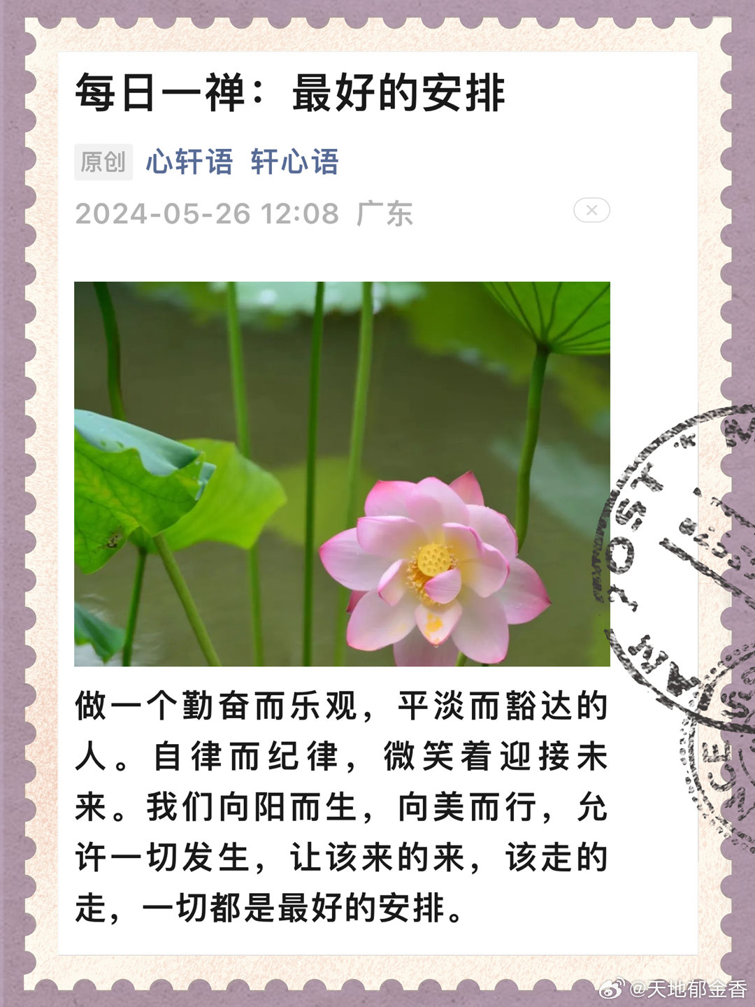 每日一禅最新引领未来科技，智能生活全新体验
