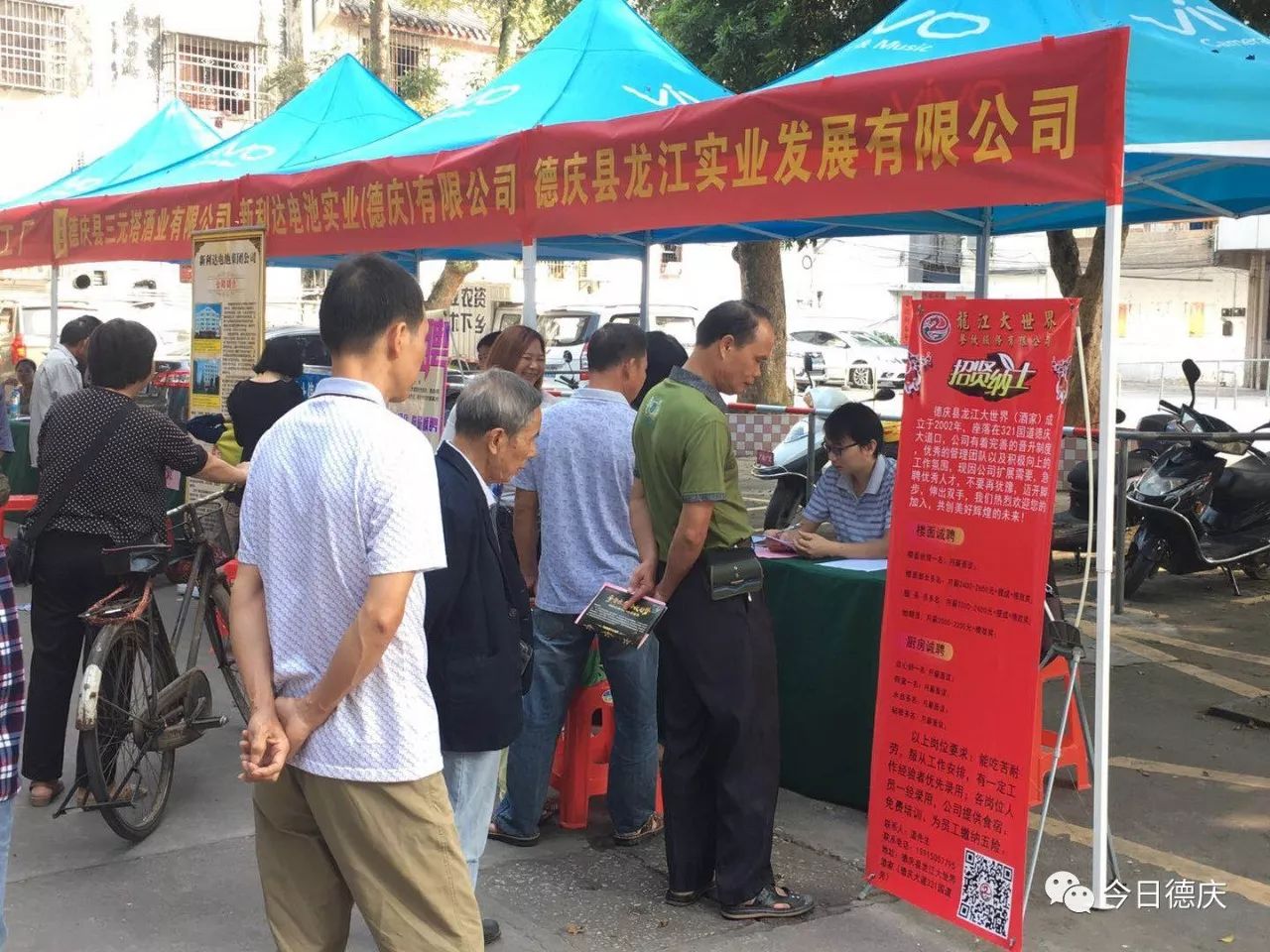 德庆最新在线论坛，观点阐述与立场分析平台