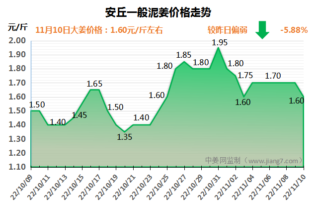 大姜最新行情揭秘与小巷独特风味探秘之旅