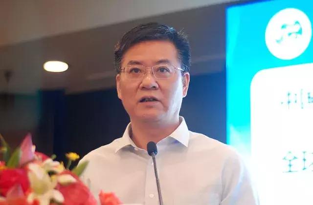 锦纶切片引领未来，科技重塑生活，最新价格动态更新