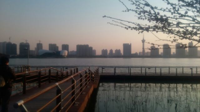 天镜湖畔的温馨日常，最新动态与湖畔生活