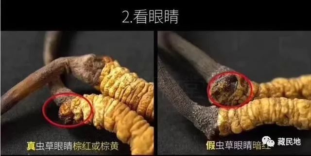 生活品 第53页