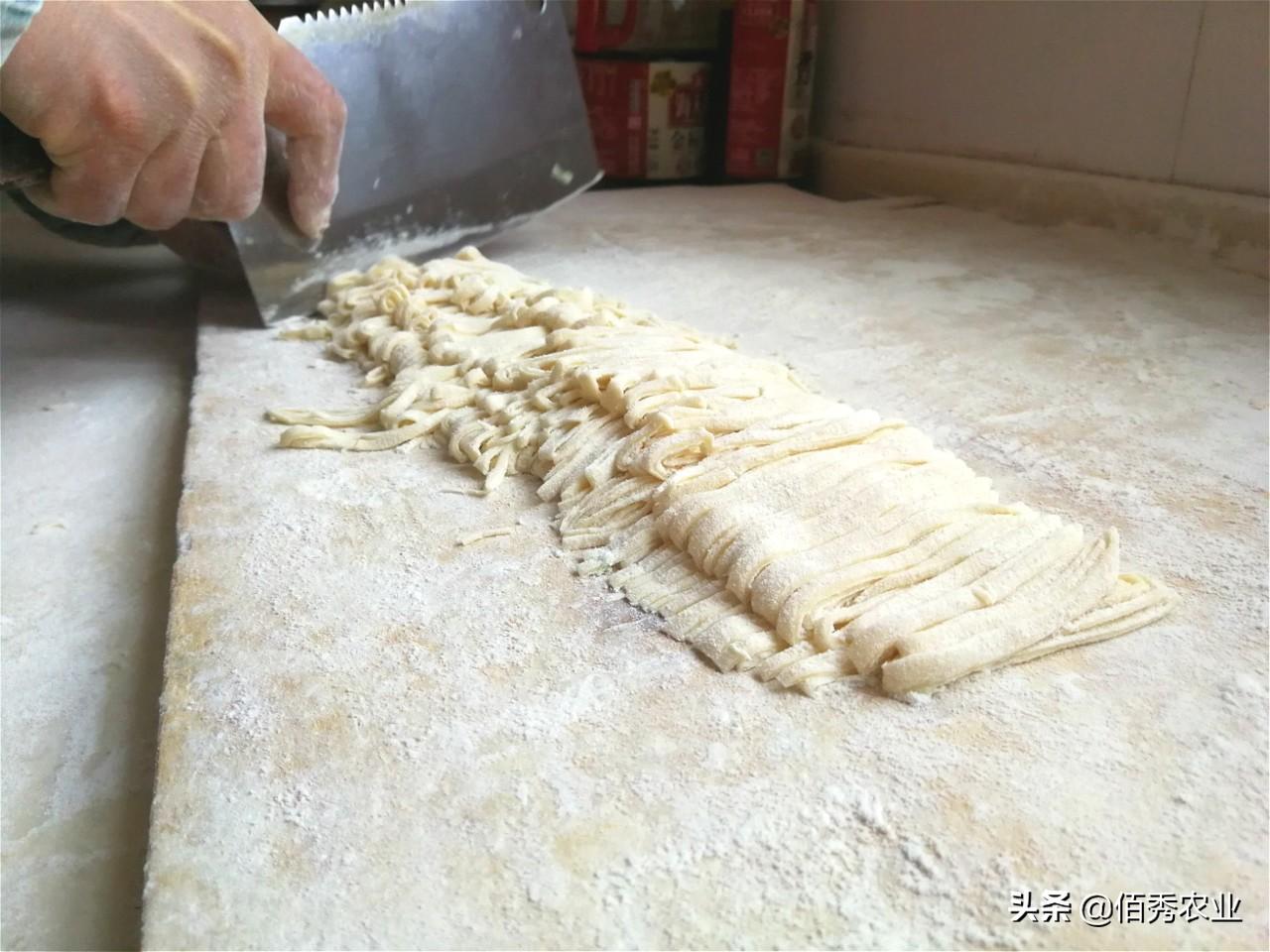 最新羊瘟疫全面解析与观点阐述，深度探讨与应对策略