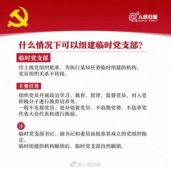 最新支部条，温馨有趣的日常故事