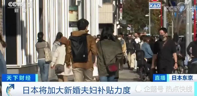 日本最新高峰探索与体验指南，详细步骤带你登顶新高度