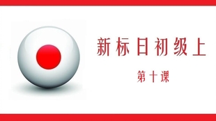 探索自然美景的轻松之旅，标日最新助你寻找内心宁静与平和
