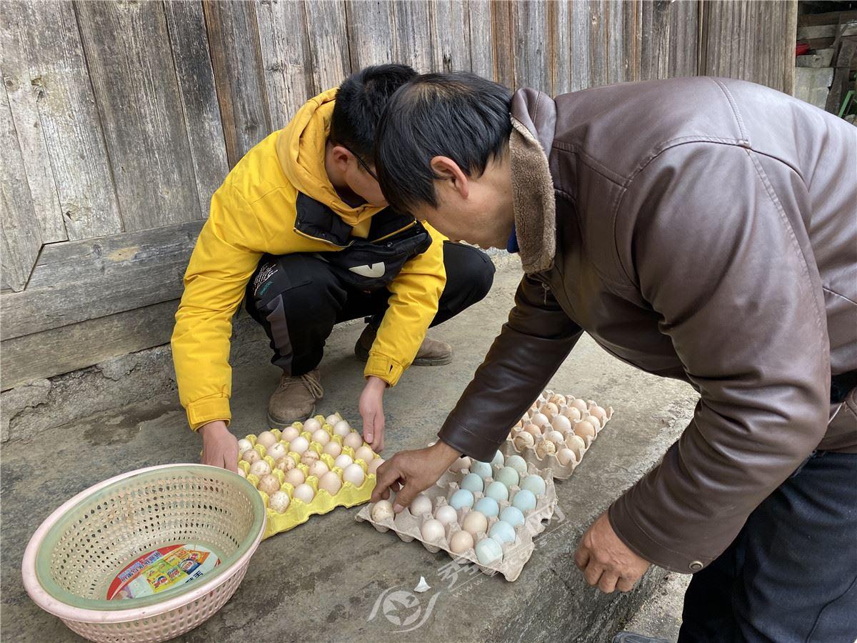 最新企业收购引领科技革新重塑未来体验