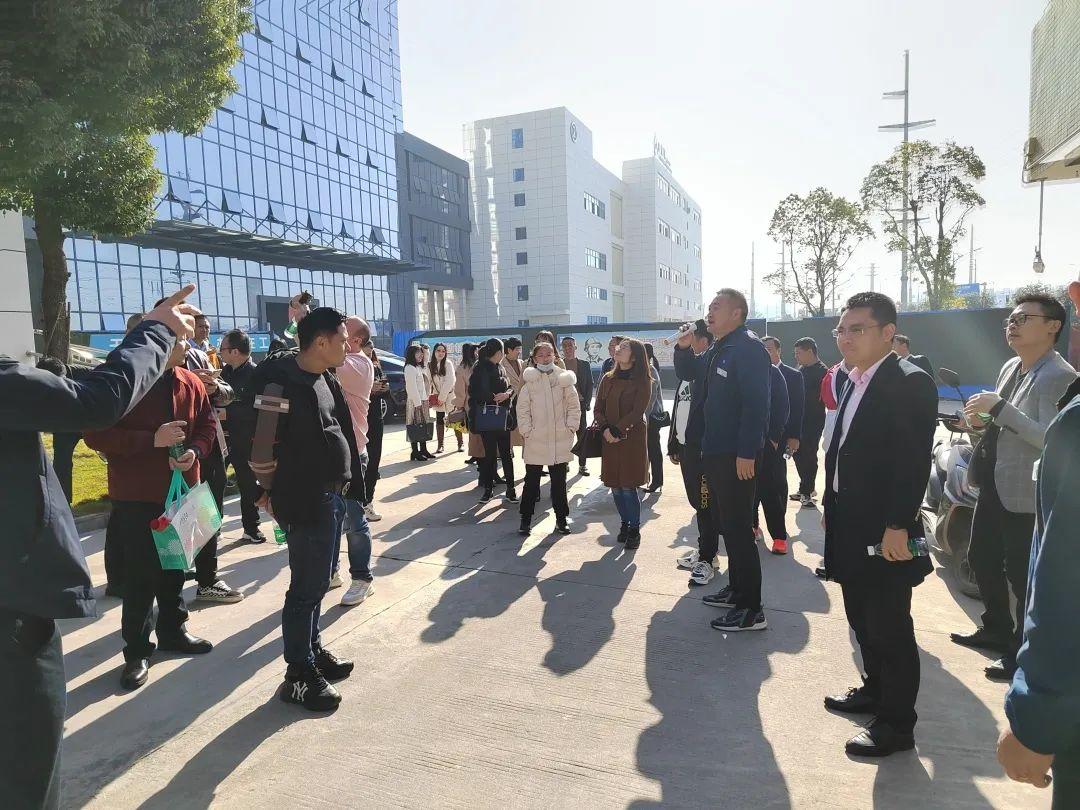 金信诺最新动态，心灵与自然的奇妙交融之旅